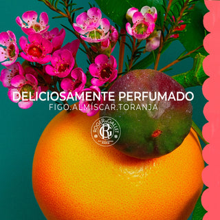 Roger &amp; Gallet Bois D'Orange Gel De Ducha 200ml