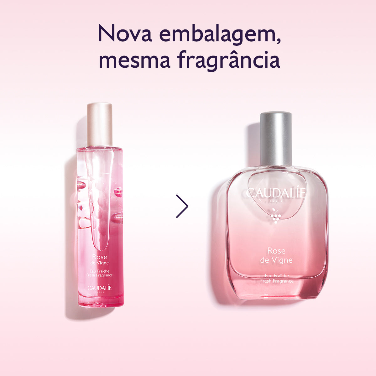 Caudalie Água Fresca Rose de Vigne 50ml – Bairro da Saúde