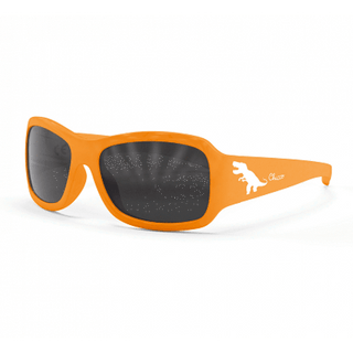 Chicco Ocu7914000000 Oculos Adventure Boy 24M+
